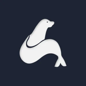 Logo Digital Sea Solutions